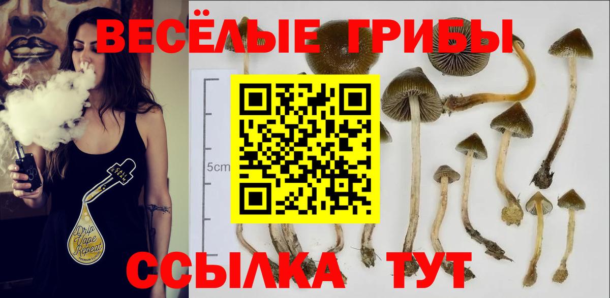 Псилоцибиновые грибы MAGIC MUSHROOMS  Галлюциногенные грибы Psilocybine cubensis  Вход с VPN  Азов 